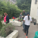 MSD volunteers gave our day centre garden a makeover.