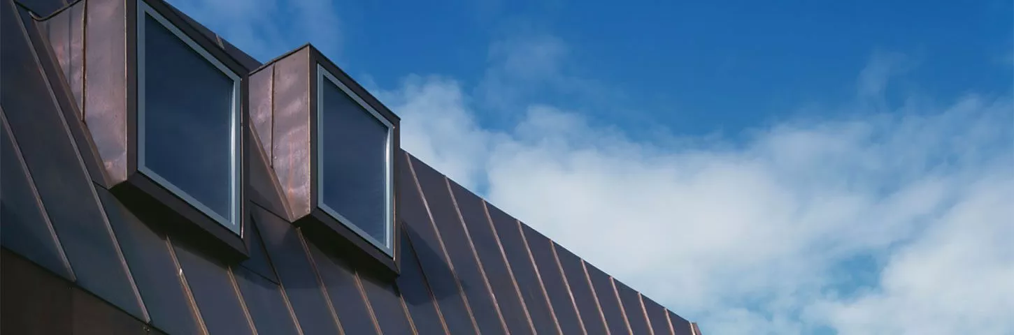 Top of house showing 2 roof windows